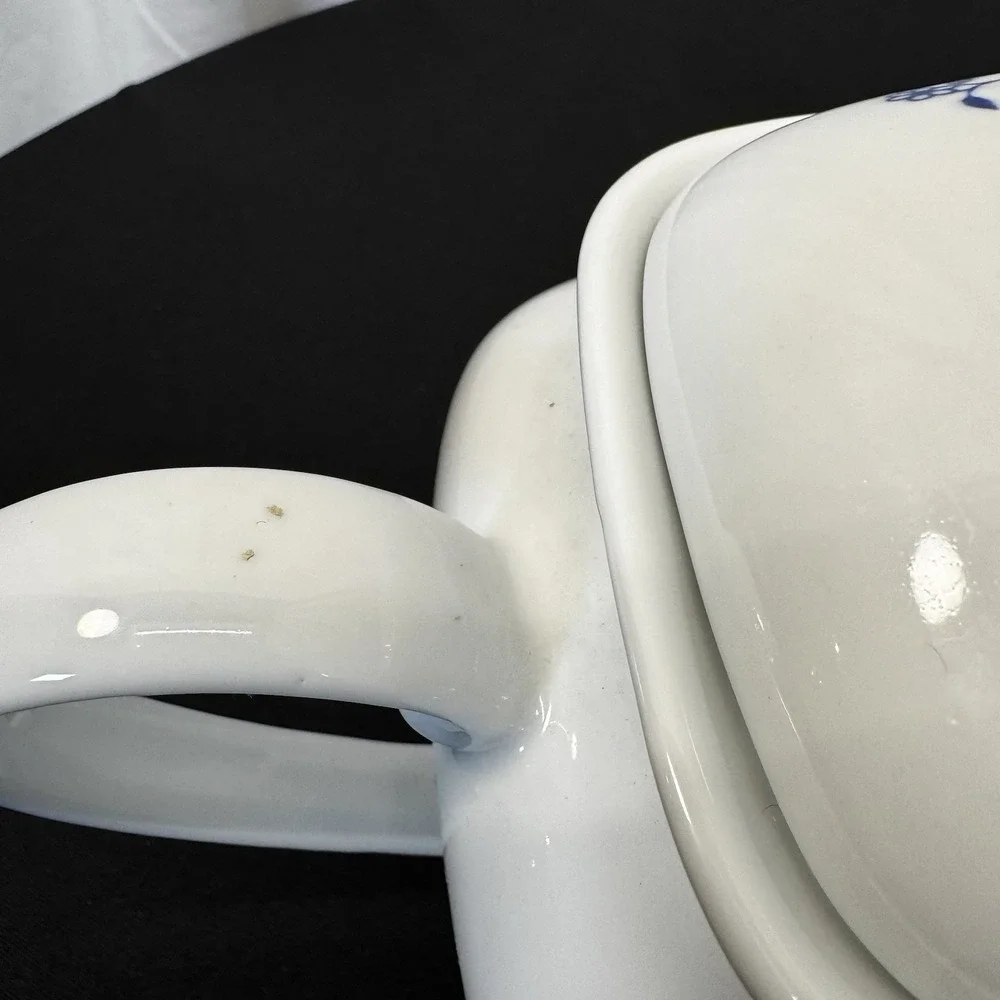 Vintage Blue &‎ White Onion Pattern German TEE Kettle